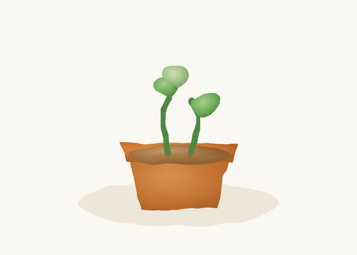 Seed Starting — free homeschool activity plan from Knowly, Grades K–8